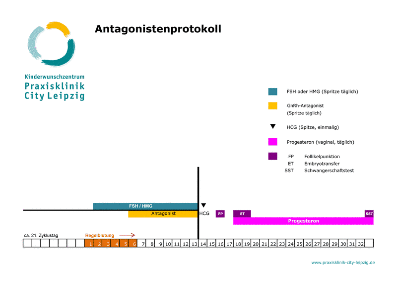 IVF Antagonistenprotokoll