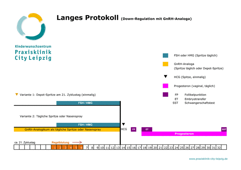 IVF Langes Protokoll